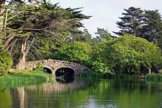 7. Ghost Of Stow Lake