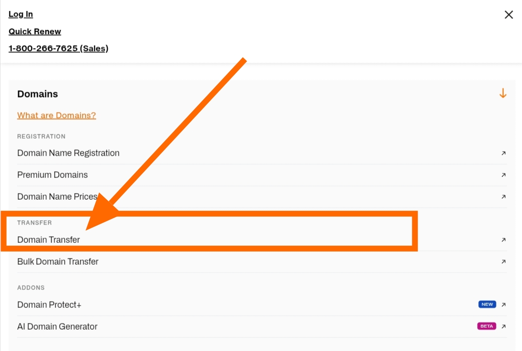 Go to Domain Transfer Section