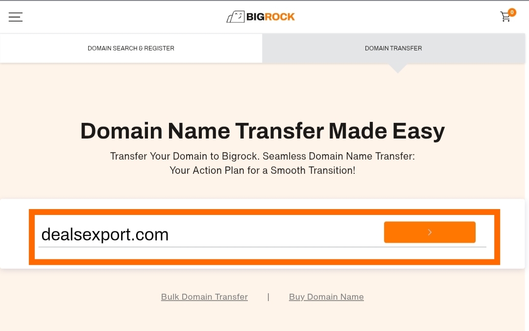 Enter Your Domain Name