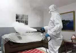 Odor Remediation Specialist