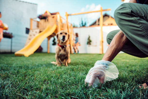 Pet Waste Removal Service