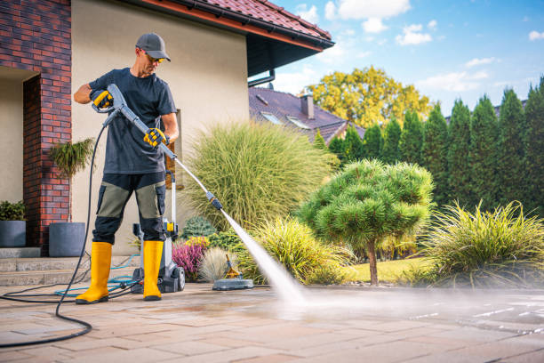 Pressure Washing Specialist